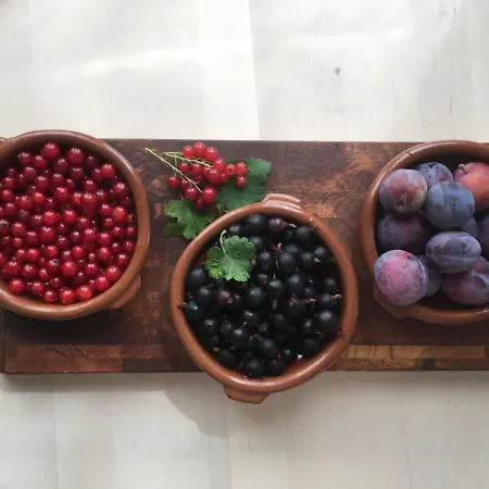 Nocleg ze śniadaniem De Limburgse Bergen