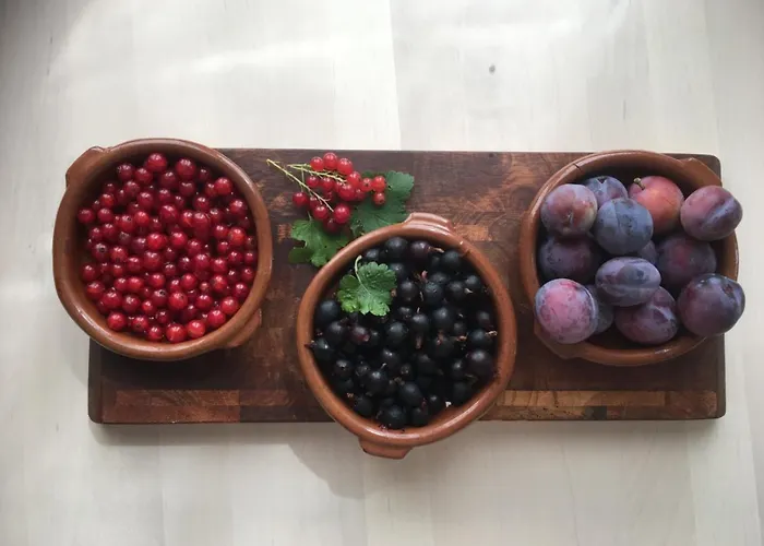 Alojamento de Acomodação e Pequeno-almoço De Limburgse Bergen